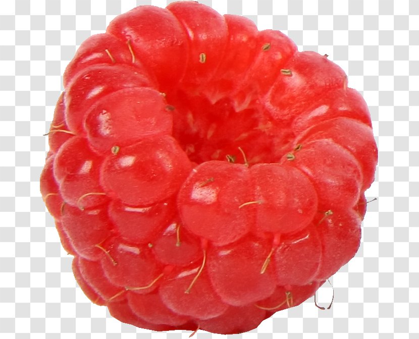 Amora Red Raspberry Fruit Dewberry - Dessert Transparent PNG