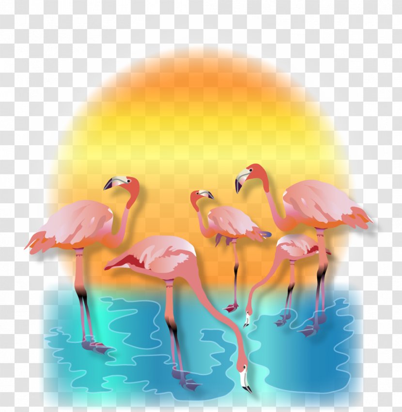 Chicken Orange Cafe Bird Logo Egg - Flock Transparent PNG