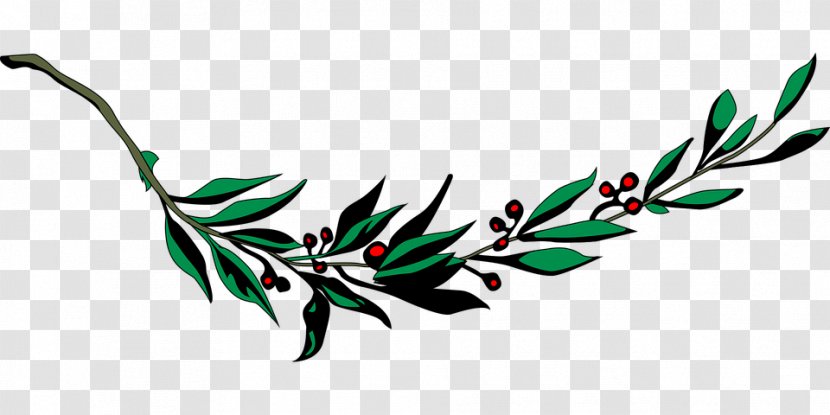 Laurel Wreath Clip Art Bay Branch Image - Drawing - Leaf Transparent PNG
