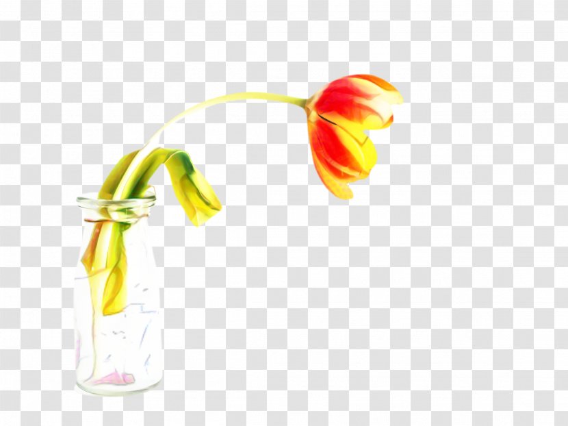 Blossom Flower - Flora - Plant Yellow Transparent PNG