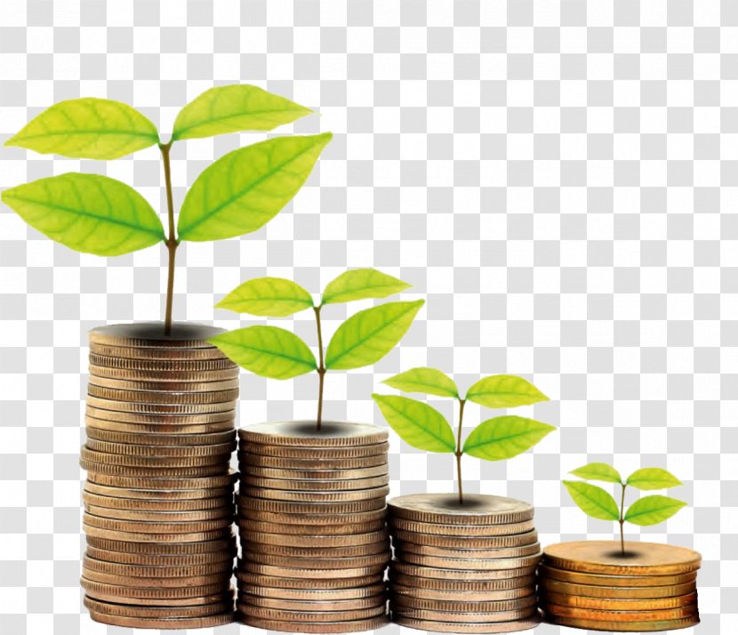 Finance Thailand Bank Money Investment - Leaf Transparent PNG