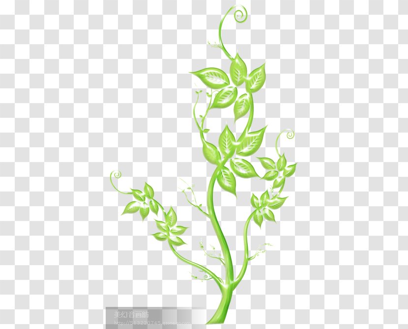 Graphics Flower Illustration Plants Floral Design - Plant Stem - Pastime Transparent PNG