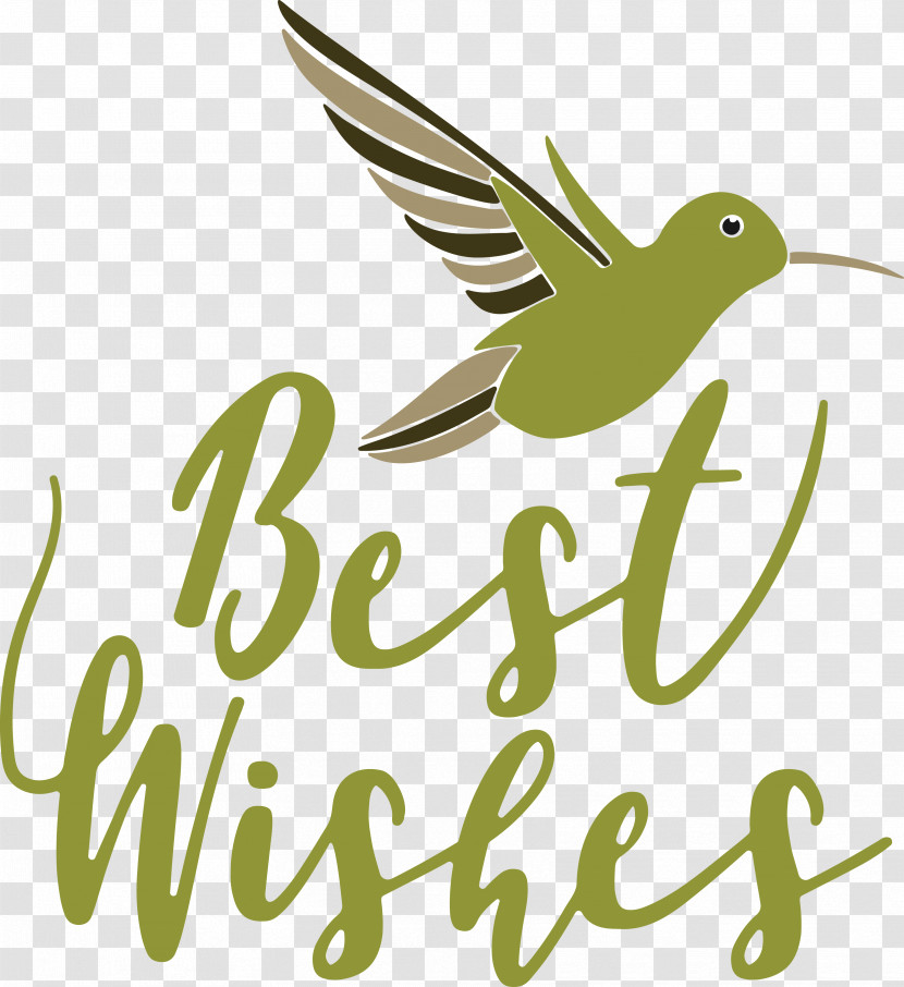 Hummingbirds Logo Green Beak Pollinator Transparent PNG