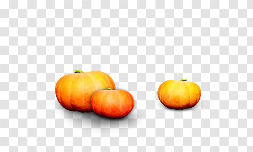 Calabaza Gourd Pumpkin Winter Squash - Computer Transparent PNG