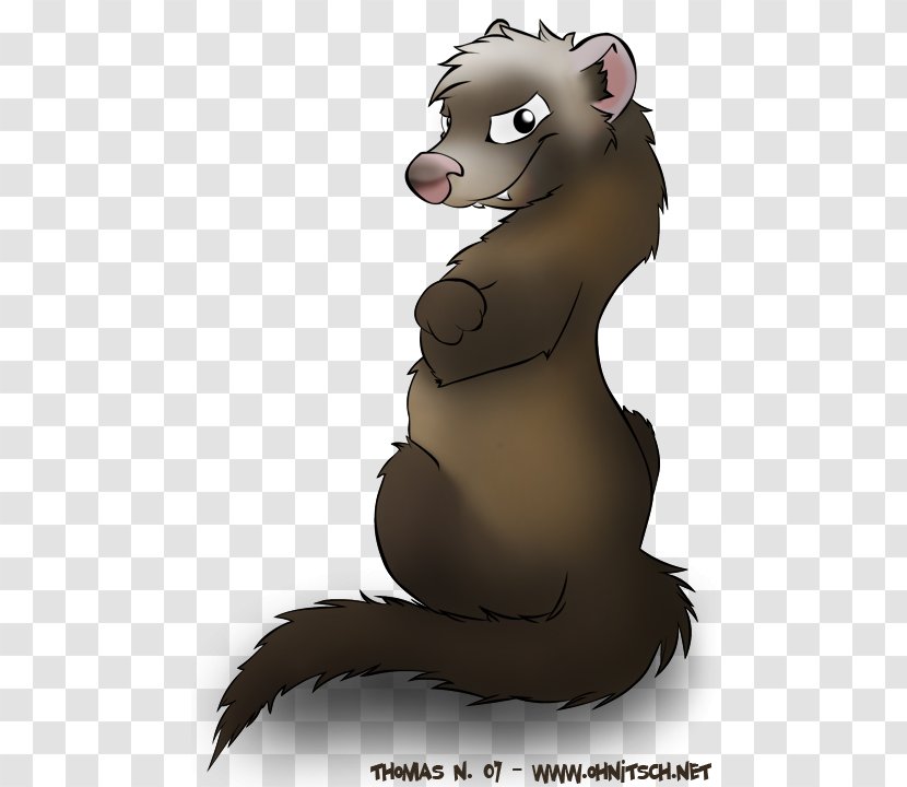 Ferret Animated Cartoon Drawing - Marsupial Transparent PNG