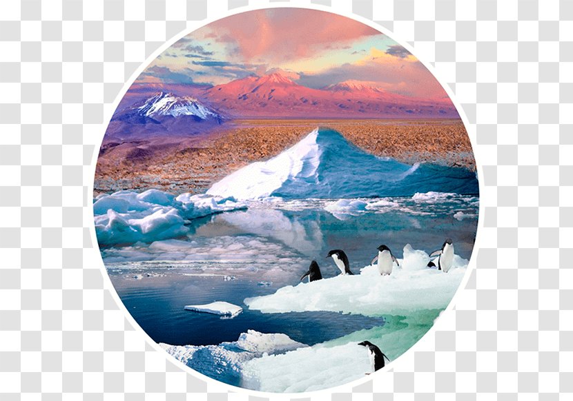 Arctic Polar Ice Cap Regions Of Earth Glacier Sea - Global Transparent PNG