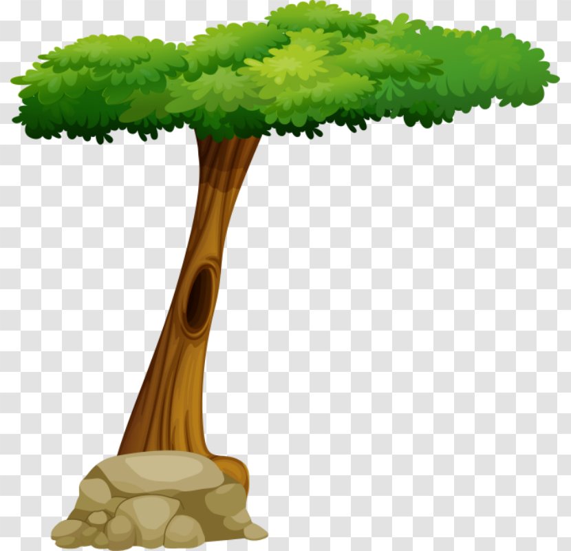 Tree Cat Clip Art - Plant Transparent PNG