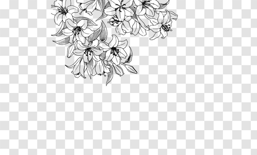 Flower Desktop Wallpaper Drawing White Clip Art - Artwork - Succulent Border Transparent PNG