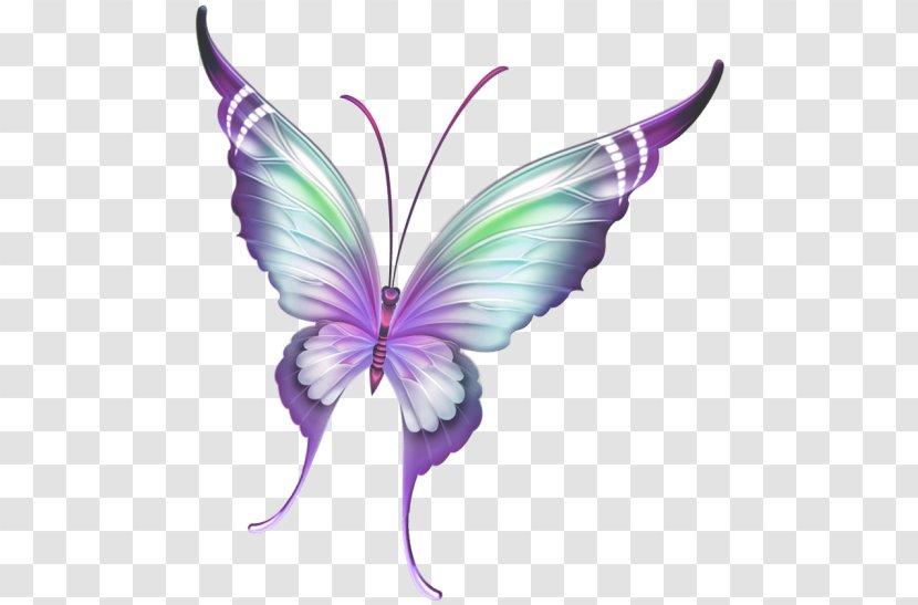 Butterfly Insect Paper - Painted Purple Transparent PNG