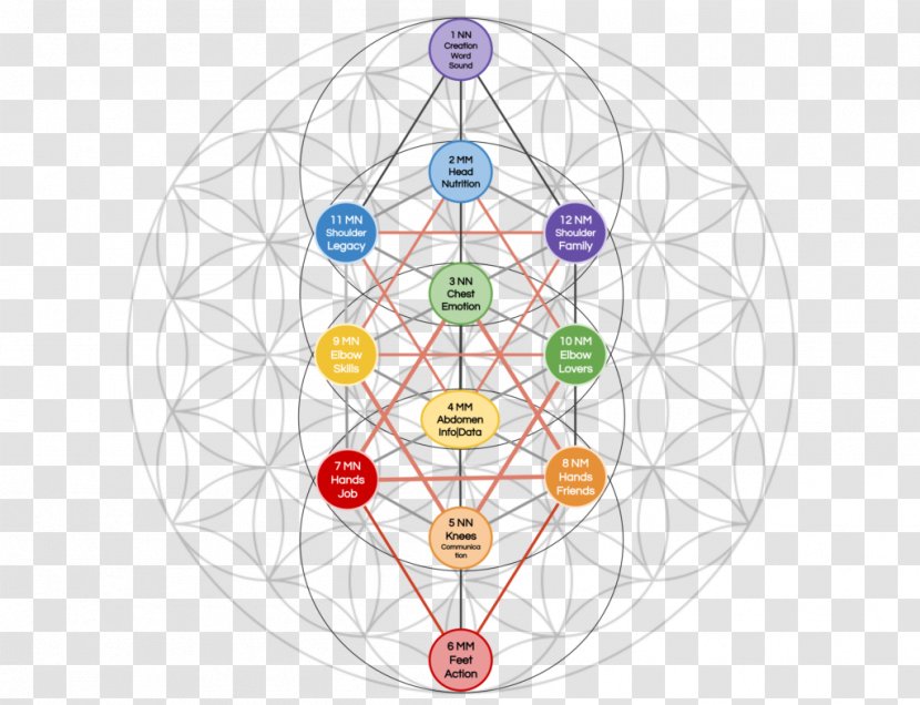 Tree Of Life Overlapping Circles Grid Sacred Geometry Breathing - Area - Love Transparent PNG