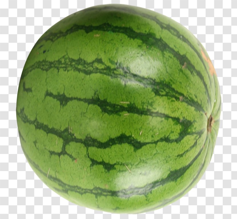 Watermelon Image Clip Art Drawing - Plant Transparent PNG