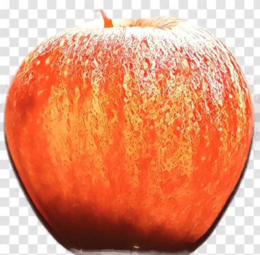 Calabaza Winter Squash Food Spoilage - Apple - Peach Transparent PNG