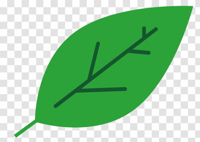 Angle Line Leaf Graphics Product Design - Green - Plant Transparent PNG