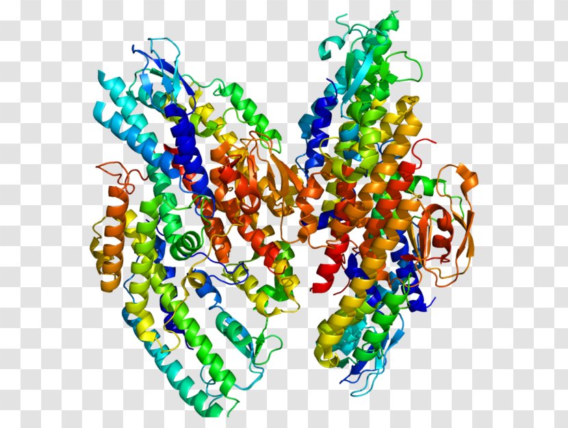 GINS1 GeneCards Ensembl GINS Complex Subunit 1 (Psf1 Homolog) - Homo Sapiens Transparent PNG