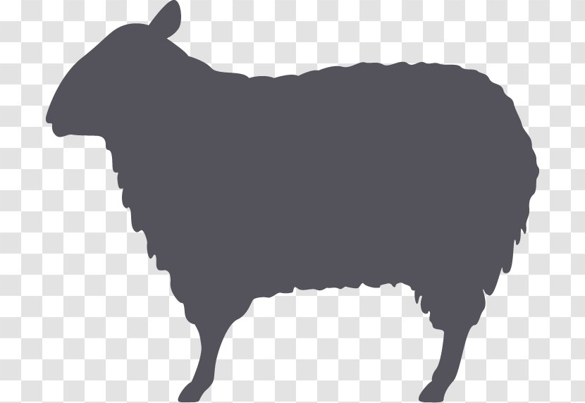 Sheep Clip Art Vector Graphics Illustration - Livestock Transparent PNG