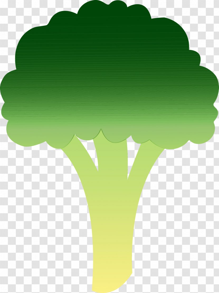 Green Leaf Watercolor - Plant Broccoli Transparent PNG