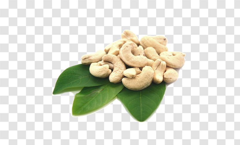 Tree Nut Allergy Cashew Organic Food Butters - Snack - Leaf Transparent PNG