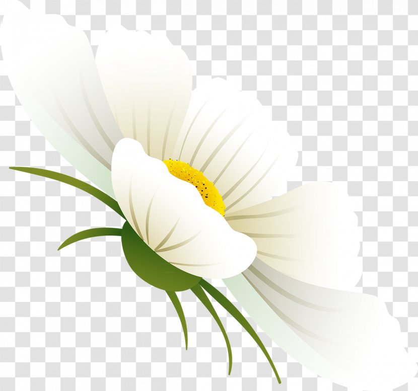 Flower Petal Desktop Wallpaper Plant Stem - Cosmos Transparent PNG