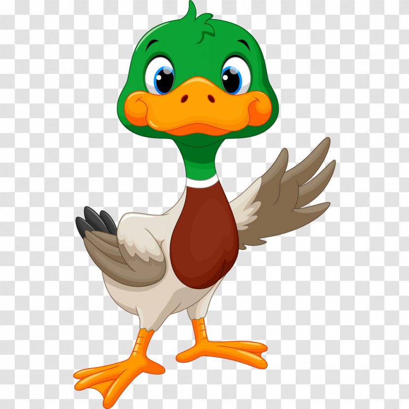 Duck Goose Clip Art - Istock - Lovely Transparent PNG