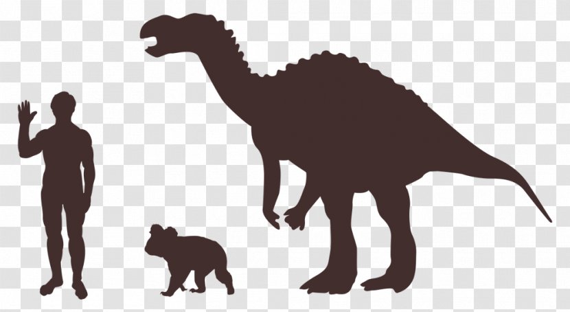 Cat Silhouette Tail Dinosaur Mammal Transparent PNG
