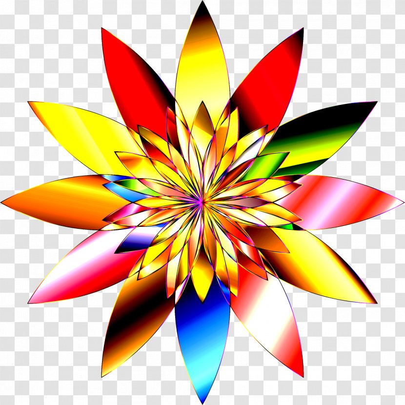 Symmetry Plant Flower Petal Transparent PNG