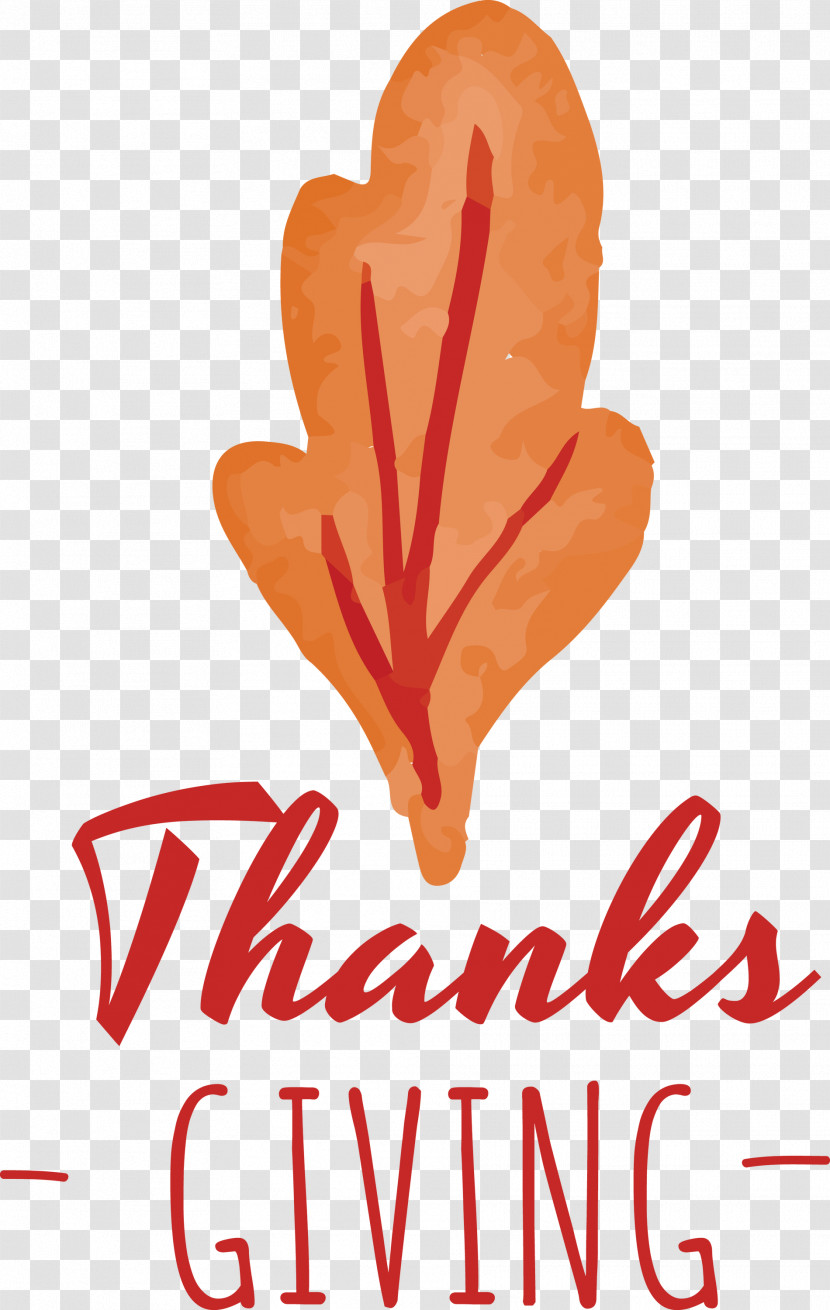 Thanks Giving Thanksgiving Harvest Transparent PNG