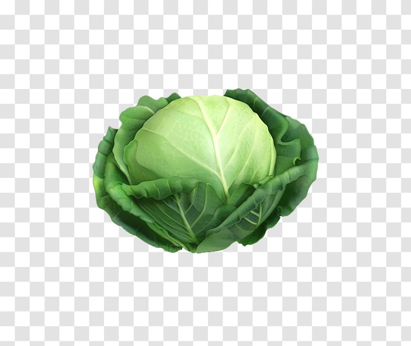 Cabbage Cauliflower Irish Cuisine Vegetable - Napa Transparent PNG