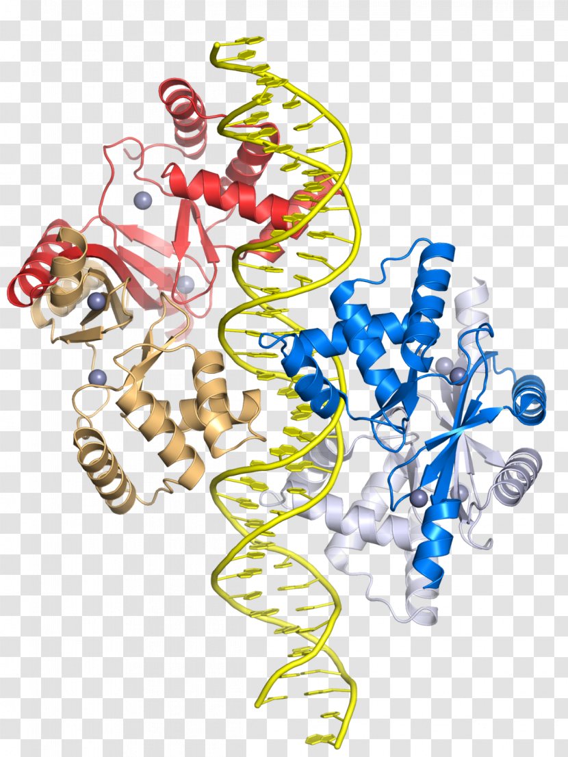 Zinc Uptake Regulator Gene Transcription Factor - Watercolor - Protein Domain Transparent PNG