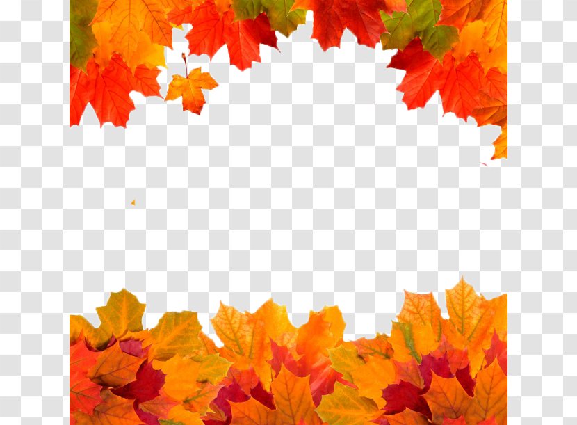 Autumn Leaves Golden Owasso Leaf - Border Transparent PNG