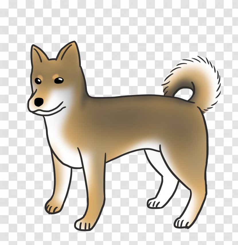 Finnish Spitz Shiba Inu Canaan Dog Norwegian Lundehund Buhund - Snout - Puppy Transparent PNG