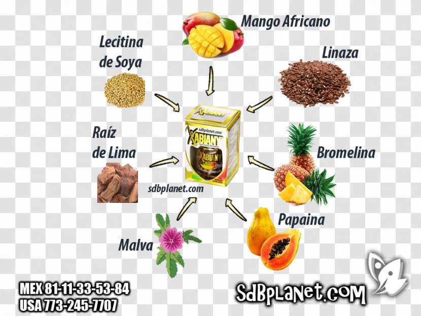 Dietary Supplement Vegetarian Cuisine Capsule Food Fat - Spirulina - Linaza Transparent PNG