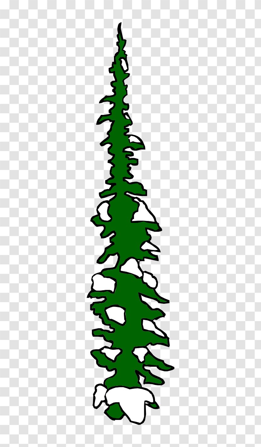 Christmas Tree Spruce Fir Pine Ornament - Conifer - European Wind Green Transparent PNG