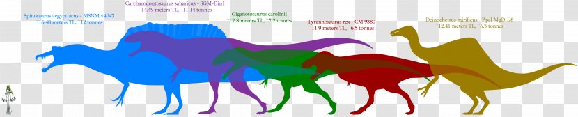 Dinosaur Size Giganotosaurus Carcharodontosaurus Velociraptor Megaraptor - Silhouette - Mongolian Transparent PNG