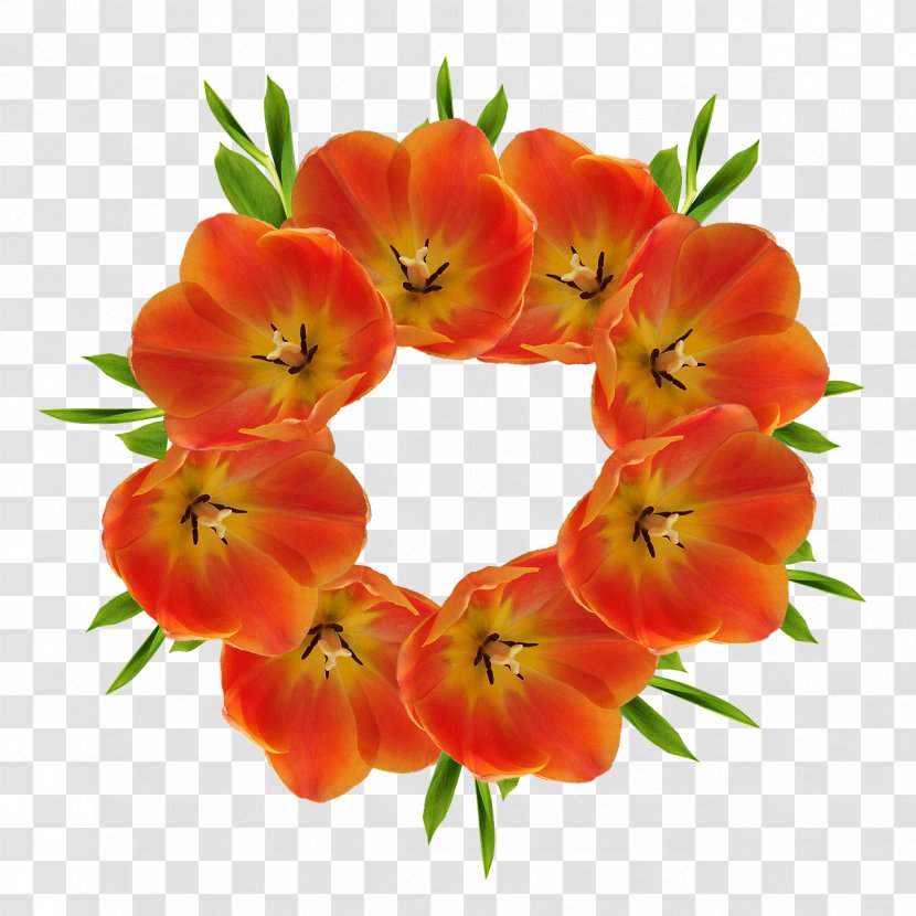 Flower Tulip Clip Art Transparent PNG