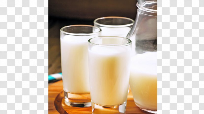 Eggnog Harvey Wallbanger Buttermilk Irish Cuisine Cream - Milk - Dairy Transparent PNG
