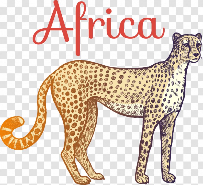 Cheetah Giraffe Wild Boar - Animal Figure - Vector Cartoon Transparent PNG