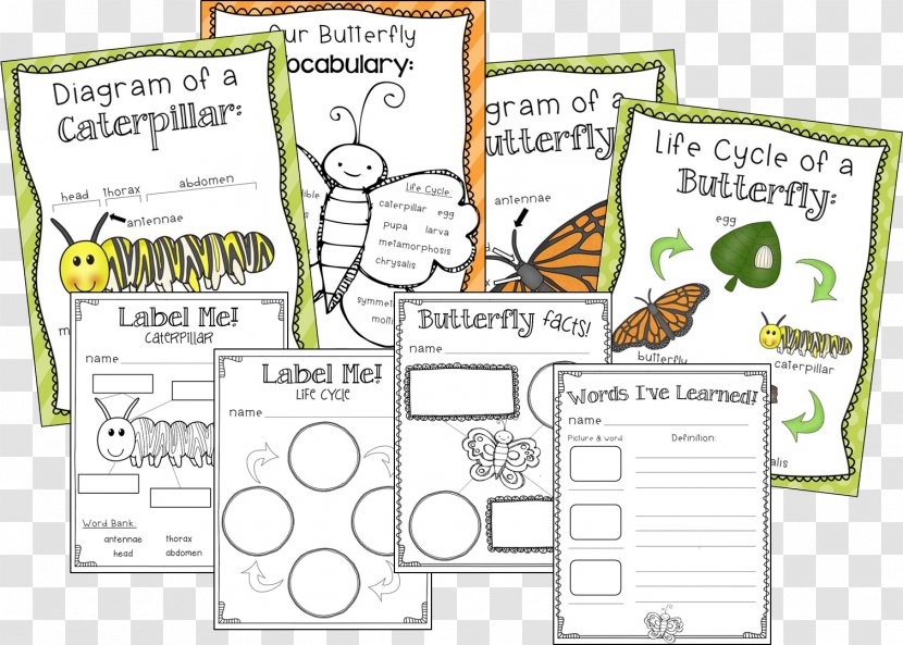 Butterfly First Grade Insect School Literacy - Thank God Transparent PNG