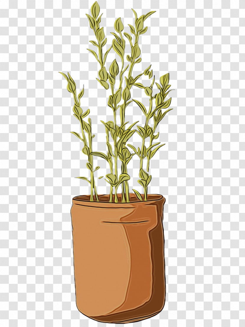Plant Stem Herb Flowerpot Tree Plants Transparent PNG