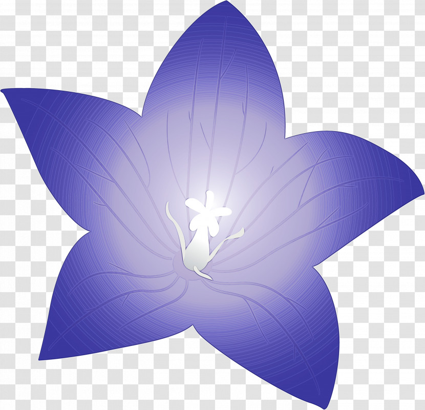 Flower Petal Symmetry Microsoft Azure Computer Transparent PNG