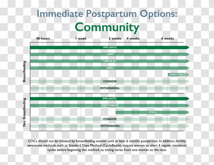 Web Page Organization Computer Program Line - Postpartum Period Transparent PNG