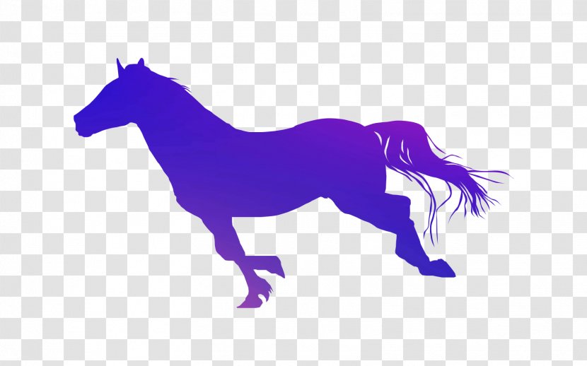 Stable Mustang Stallion Round Pen Equestrian - Form - Violet Transparent PNG