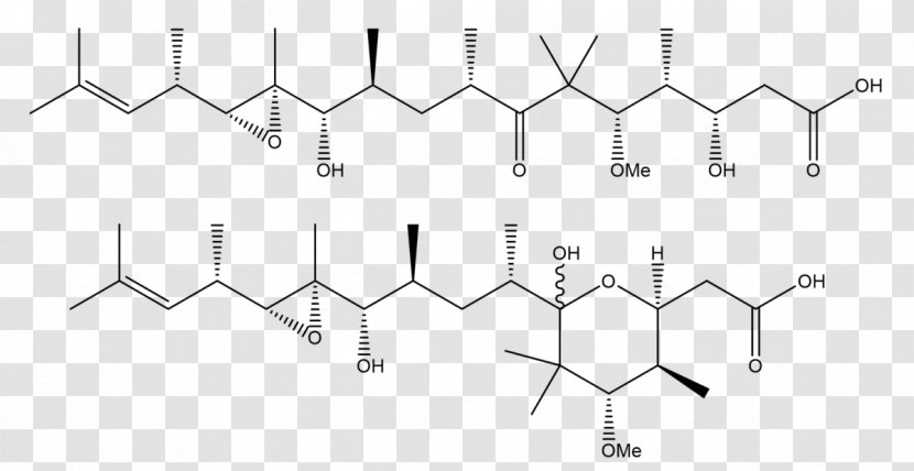 Gephyronic Acid Polyketide Triangle Technology - Symmetry - Structural Isomer Transparent PNG