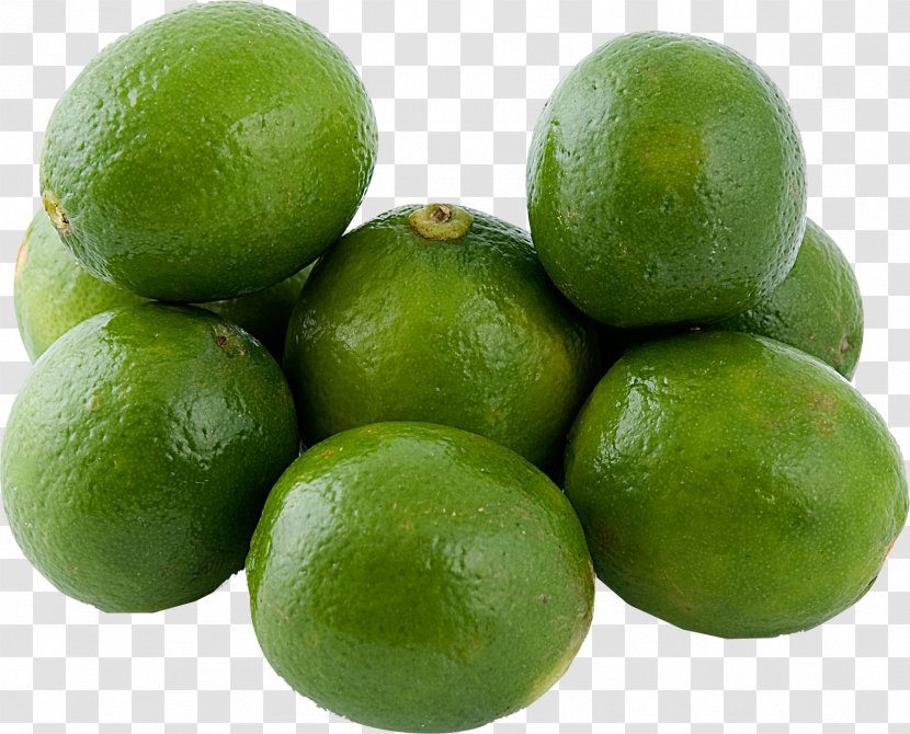 Key Lime Sweet Lemon Persian - Calamondin - Gabe Transparent PNG