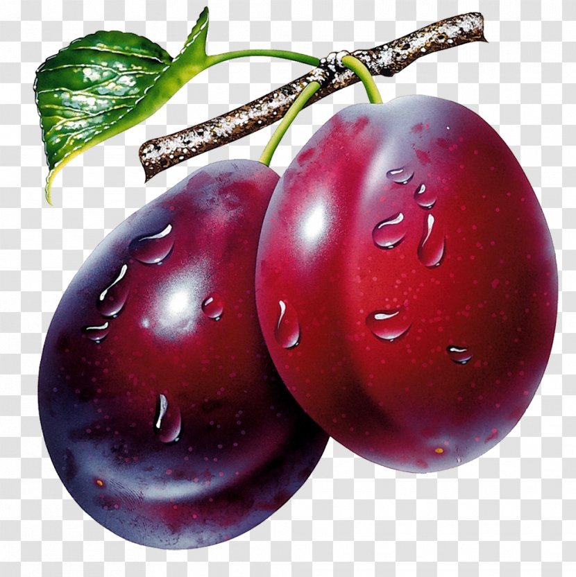 Juice Prune Fruit Clip Art - Plum Image Transparent PNG