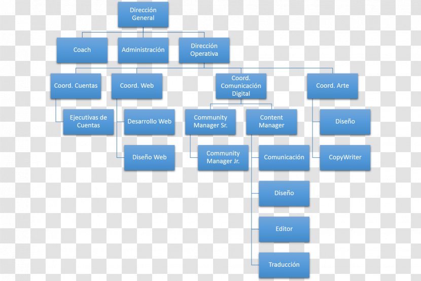 Organizational Structure Chart Marketing Transparent PNG