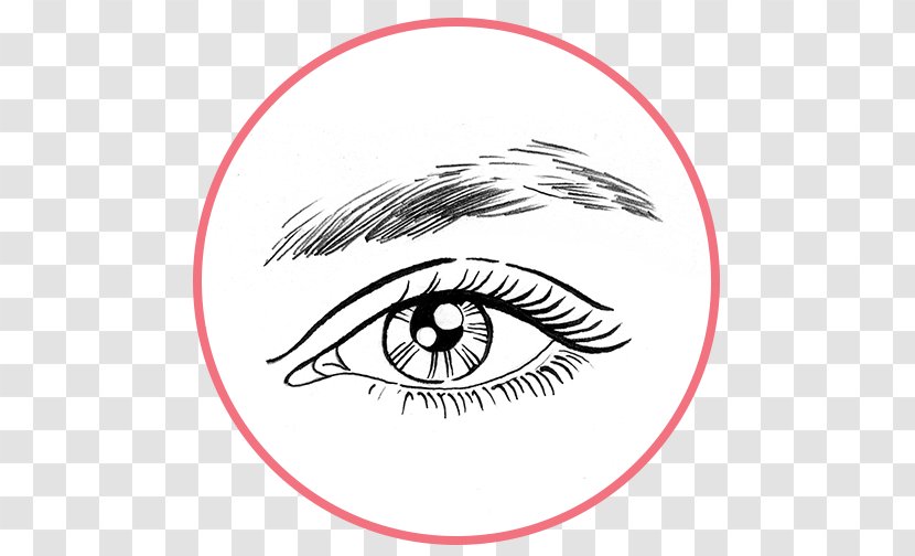 Eyebrow Benefit Brow Cosmetics Eyelash - Silhouette - Eye Transparent PNG