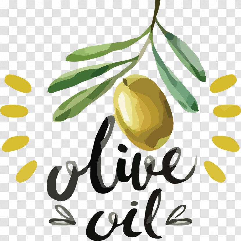 Olive Oil - Logo - Vector Creative Hand-painted Green Olives Transparent PNG