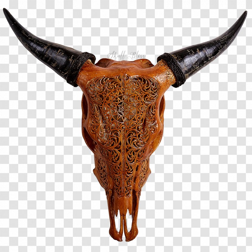 Texas Longhorn Animal Skulls Bull - You Have Two Cows - Skull Transparent PNG