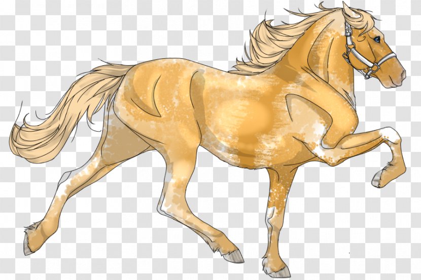 Foal Pony Stallion Mare Colt - Mustang Horse - Footpath Among Flowers Transparent PNG