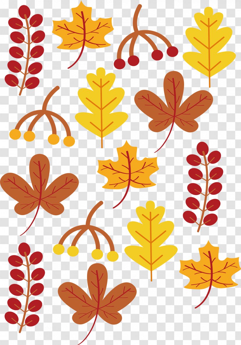 Autumn Leaf Deciduous - Art - Foliage Transparent PNG